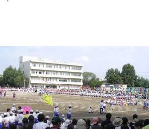 ファーストシティ大宮 周辺画像10