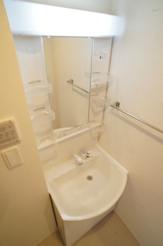 リブリ・フェリス その他2