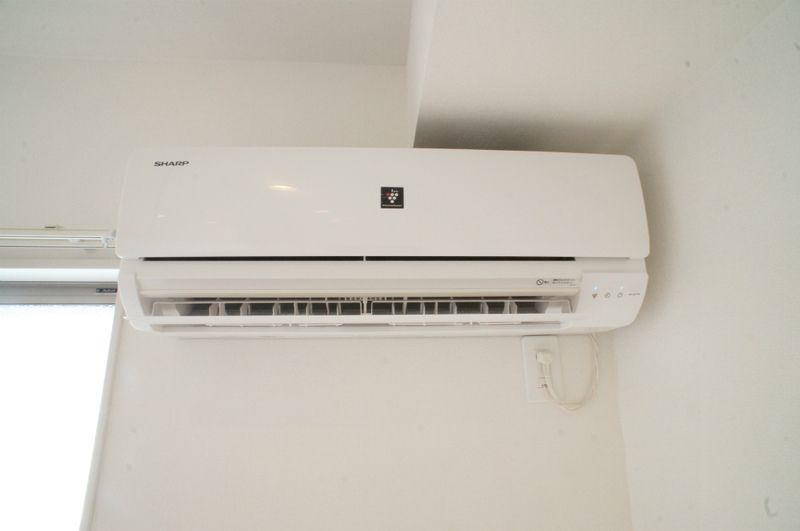 リブリ・フェリス その他3