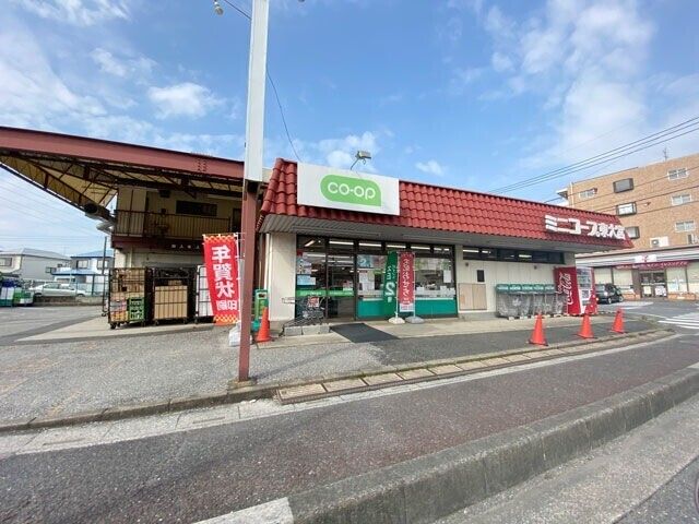 ドミール東大宮 その他外観1