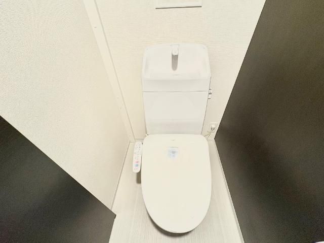 Ｒｅｇｉｎａ（レジーナ） その他4