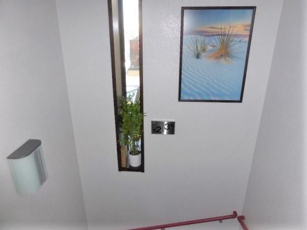 エル・ドラード その他11