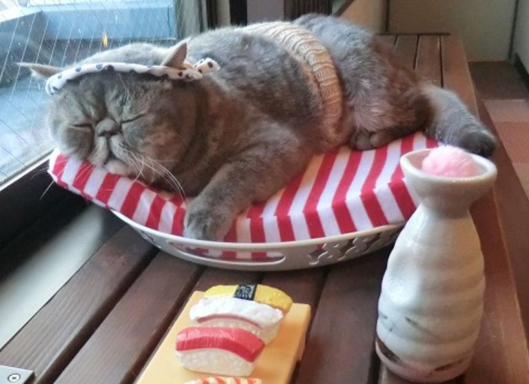 アクシーズタワー大門町 周辺画像8