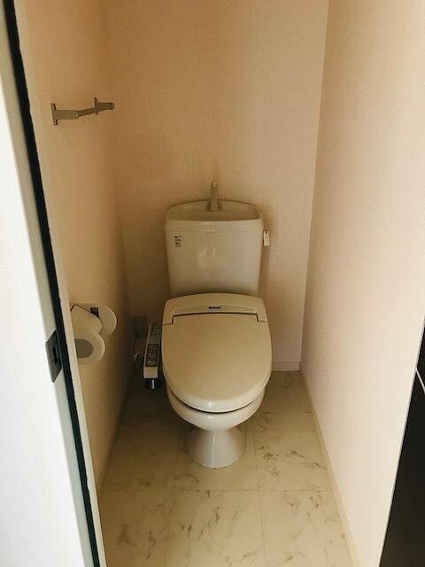 ステラコート その他1