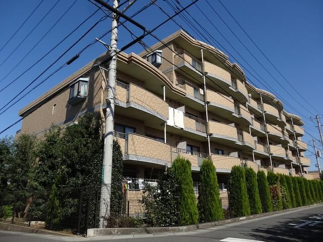 アステリ与野本町弐番館 503号室 間取り