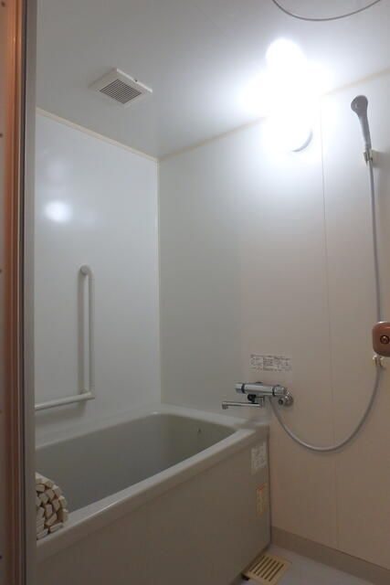 アステリ与野本町弐番館 風呂画像