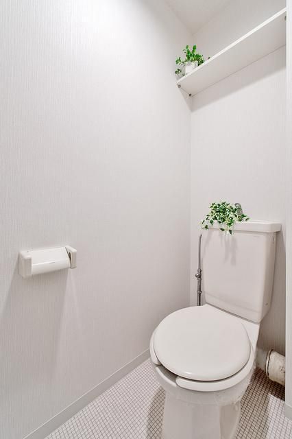 ガーデンピュア その他1