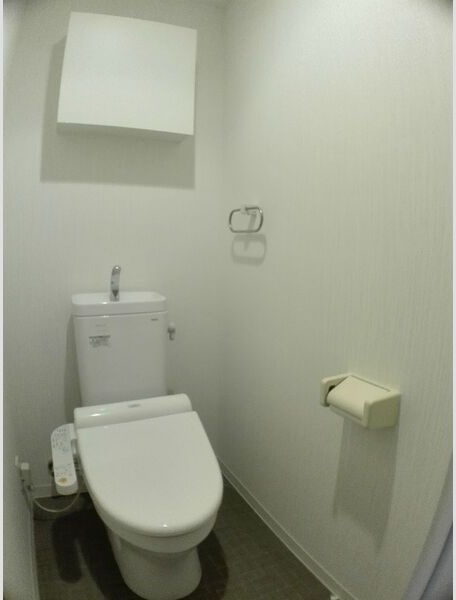 Ｆｒｅｅｓｉａ．Ｙ その他1