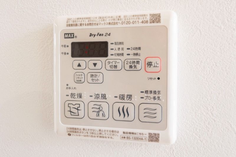 Lys blanc その他外観3