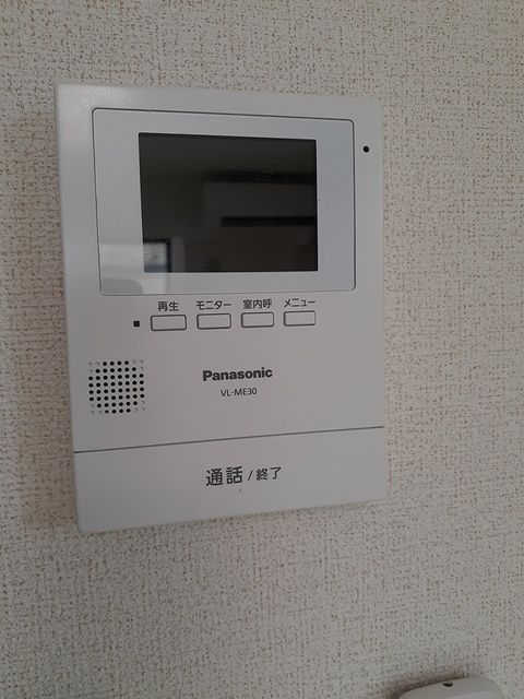チェリーブロッサム その他2