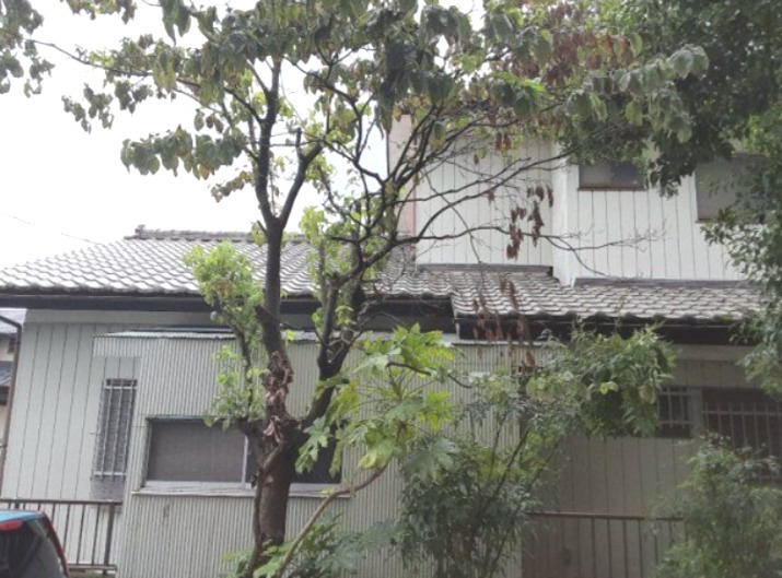 奈良町ハイツ その他5
