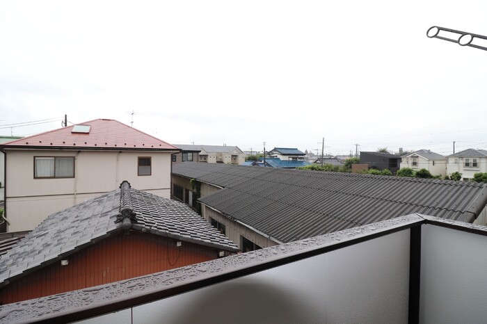 ポポの木 その他6