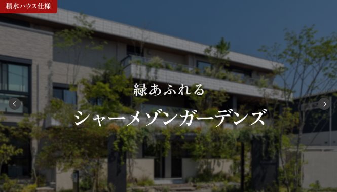 リトルベアー その他4