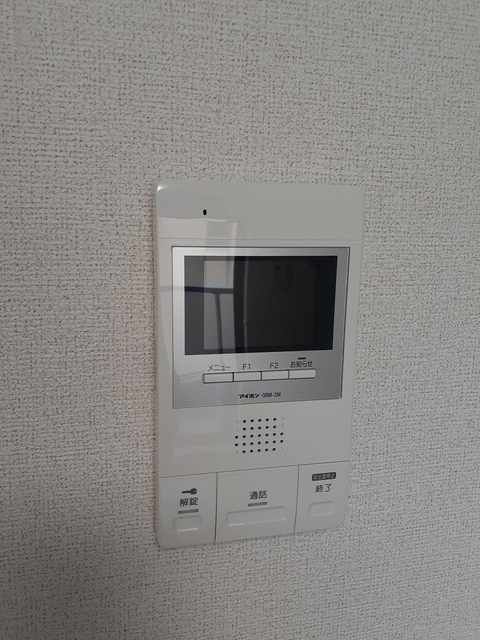パインツリー その他4