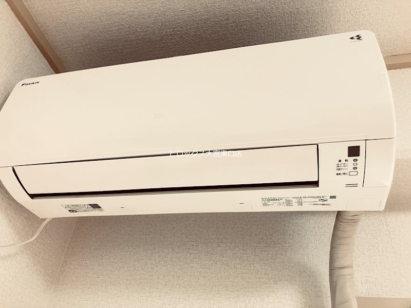 ｙｓ　Ｓｑｕｅａｒ東大成 その他5