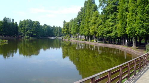 Ohana Hare C 公園