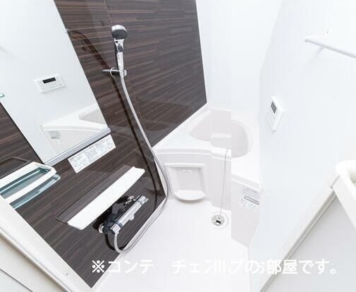 エルミタージュ 風呂画像