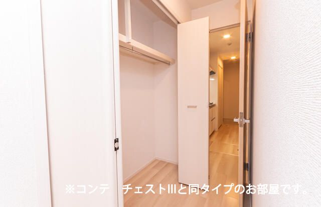 エルミタージュ 収納