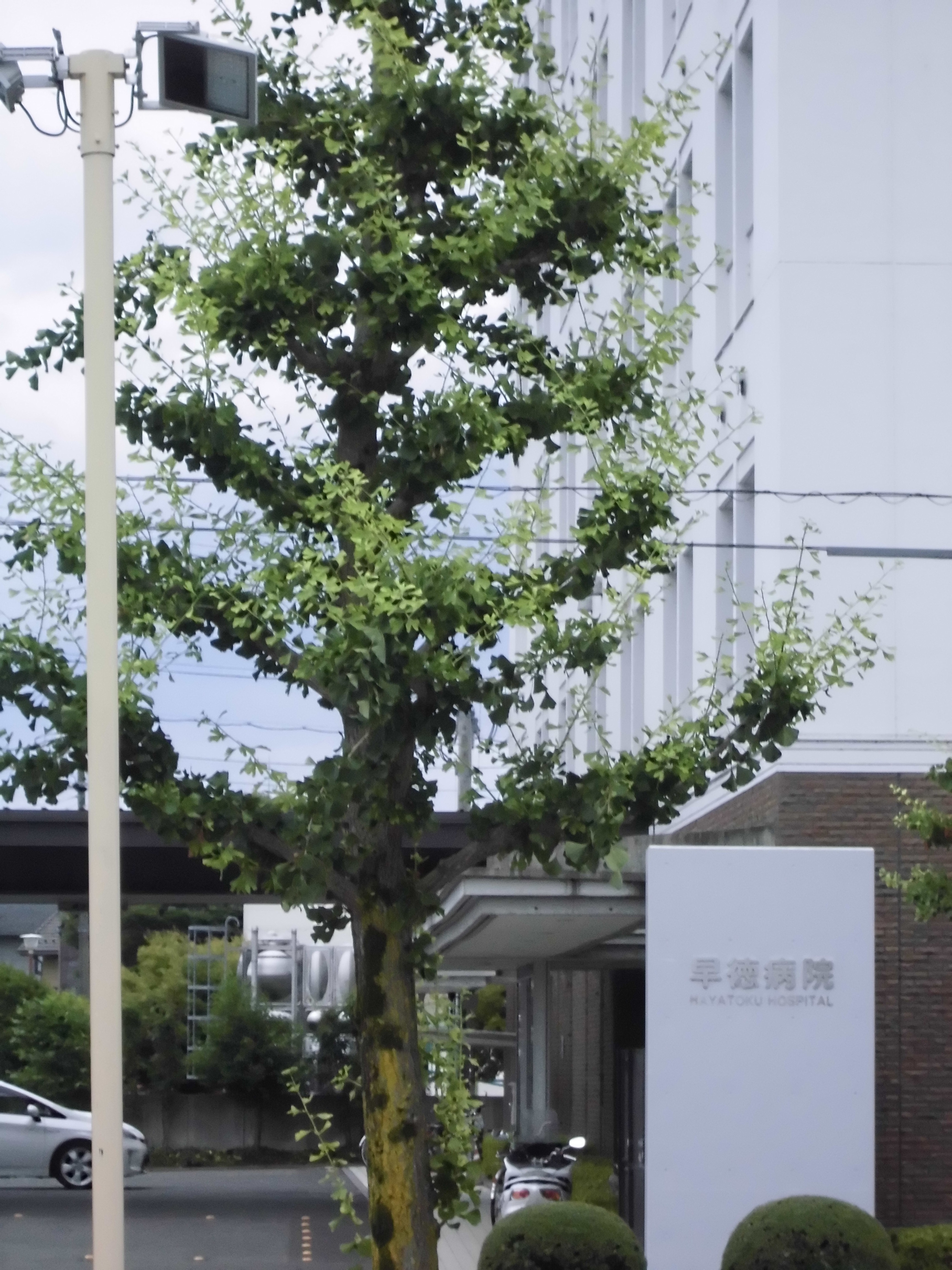 アクセス11 総合病院