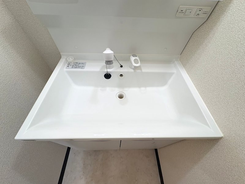 ARATA壱番館 洗面所