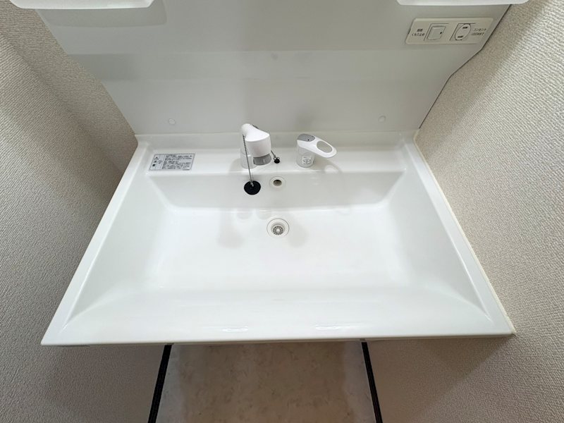 ARATA壱番館 洗面所