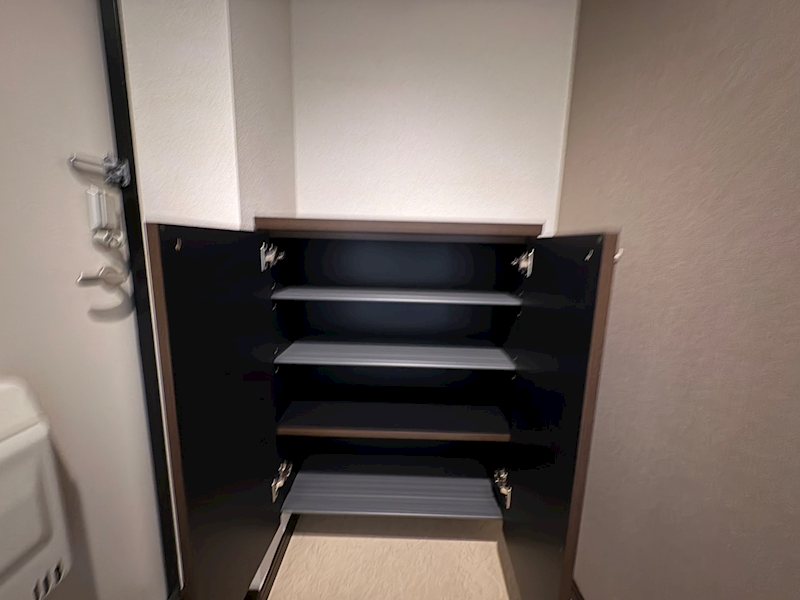 ARATA壱番館 収納