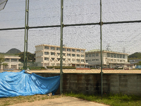 フォーレスフラッツ A 中学校