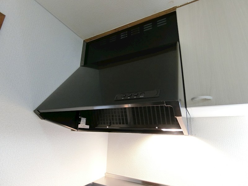 DISCUS その他