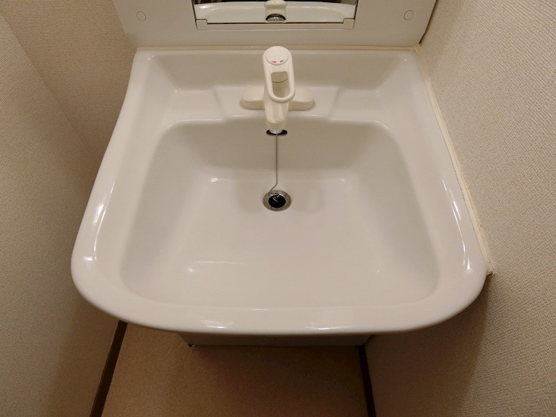 メゾンマルベリーＢ棟 洗面所