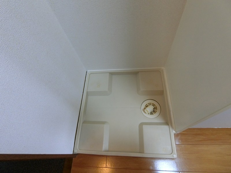 美アザリヤ その他