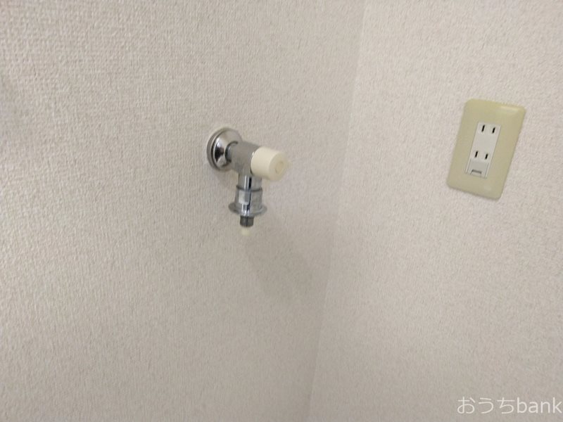SHIGA CORPO その他