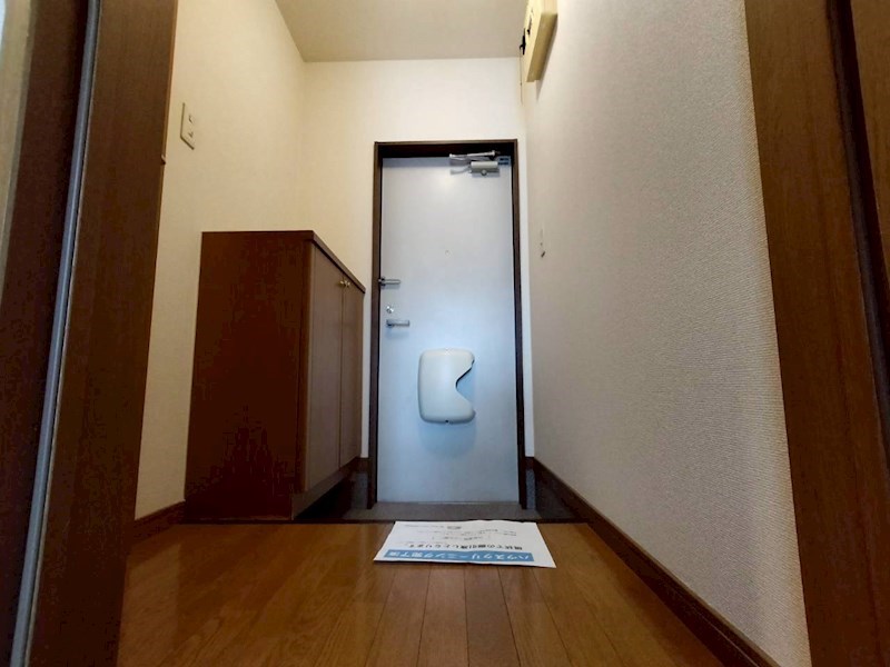 アムールSAE その他