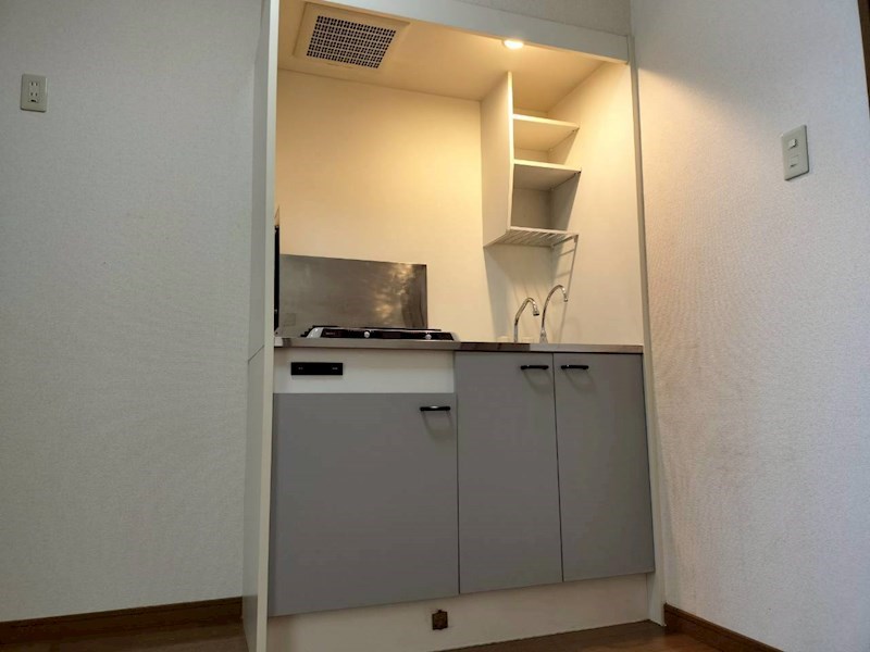 アムールSAE その他