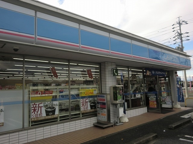 エレガンスながら その他