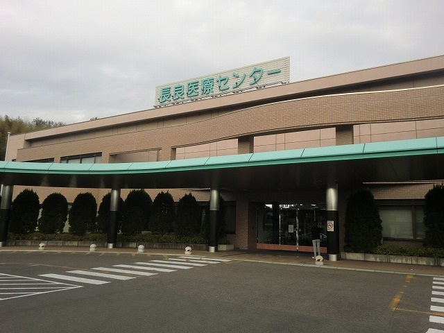 エレガンスながら その他
