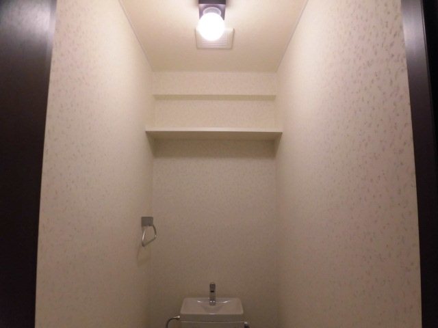 スカイヒルズマンション トイレ