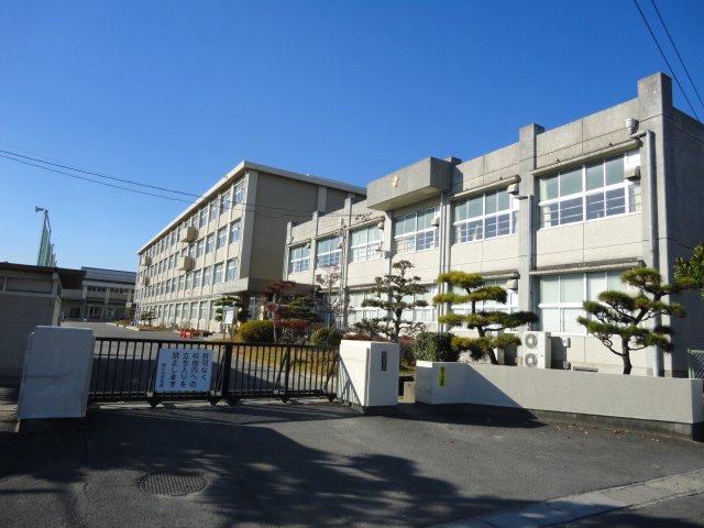 フェリス その他