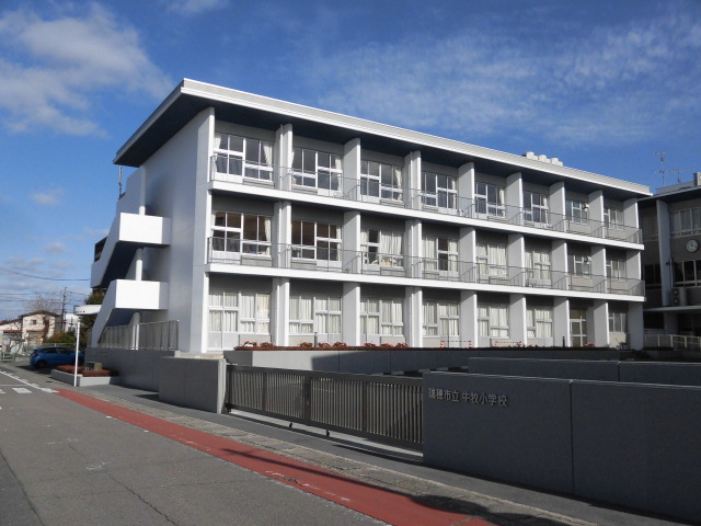 TM Clay house 小学校