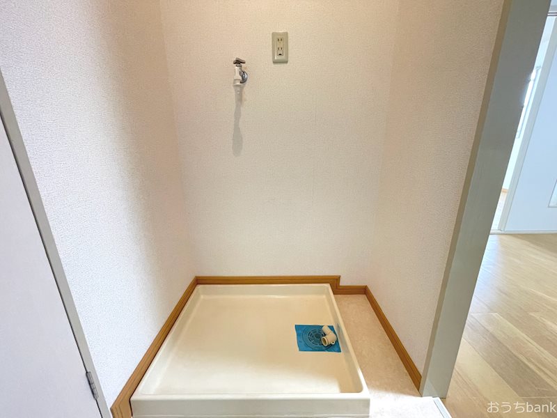 フローラ B その他