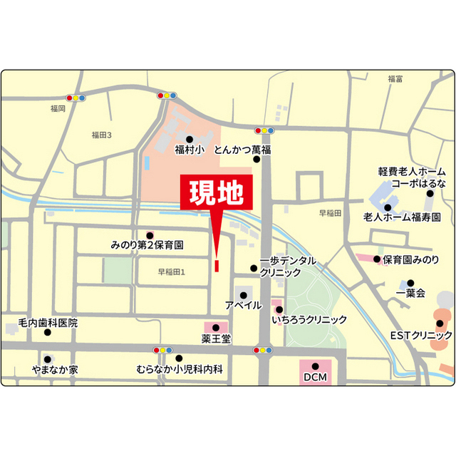 セントポーリア その他