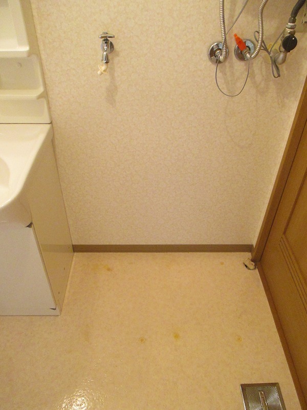 建山ビル 洗面所