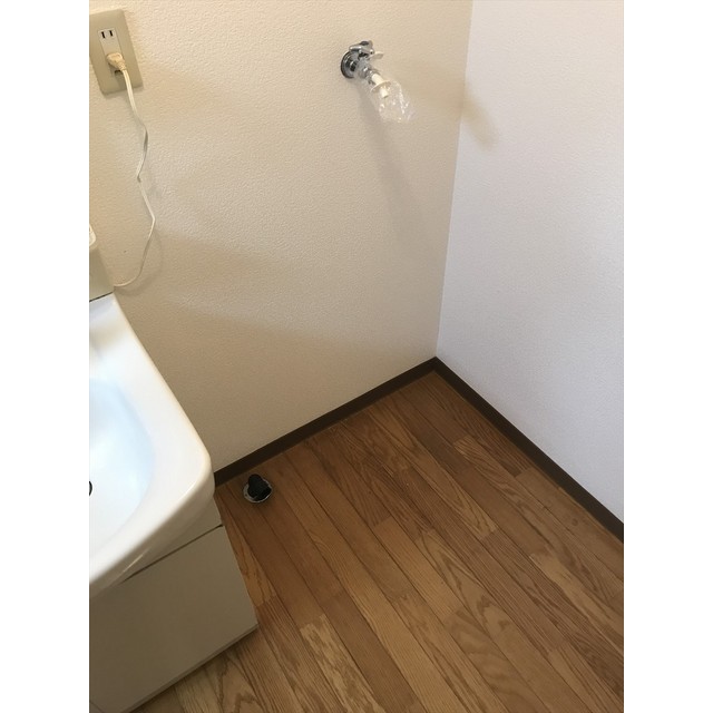 だいげんはうすⅠ 洗面所