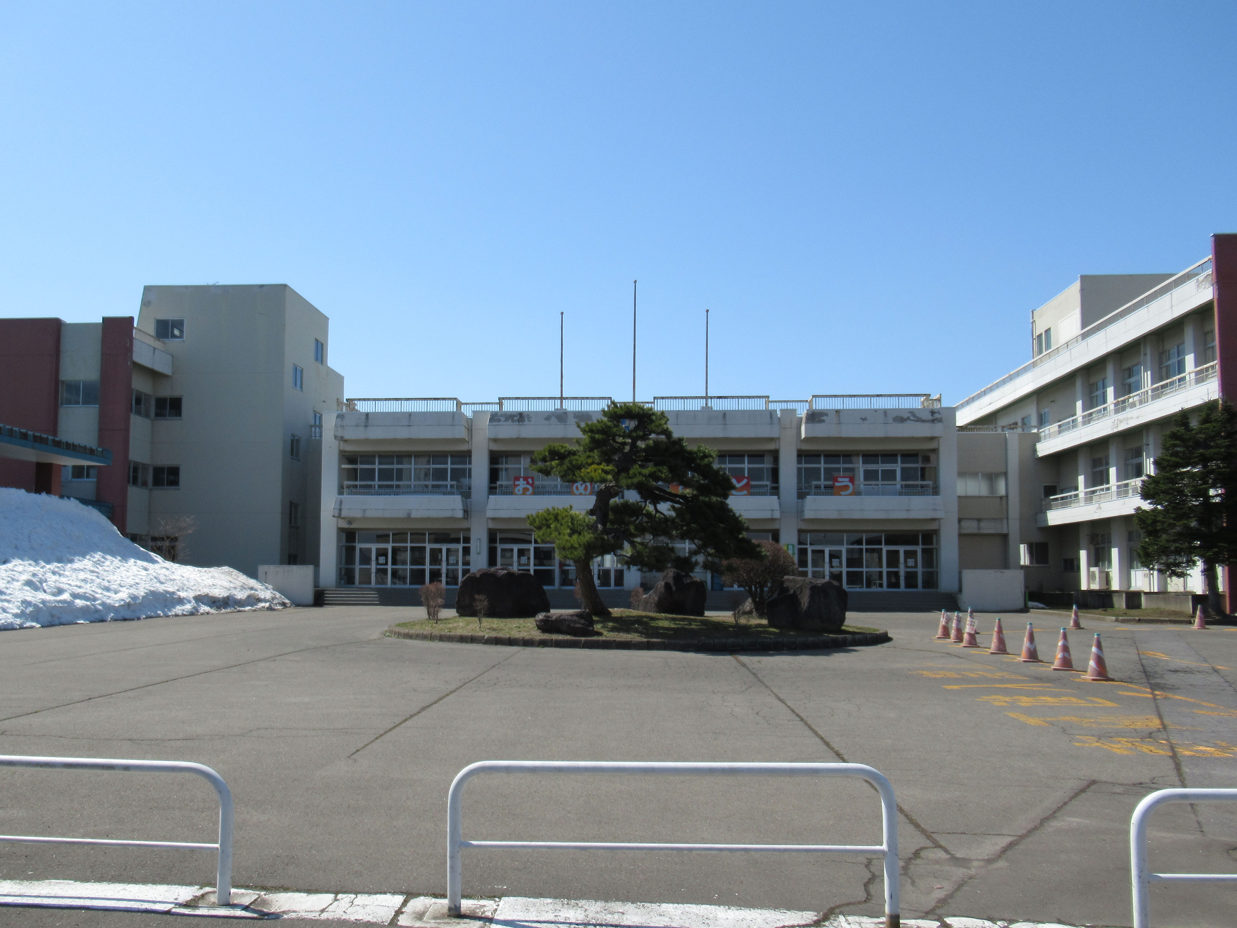 ｓｅｅｄ　ｃｏｔｔｏｎ　Ａ 小学校