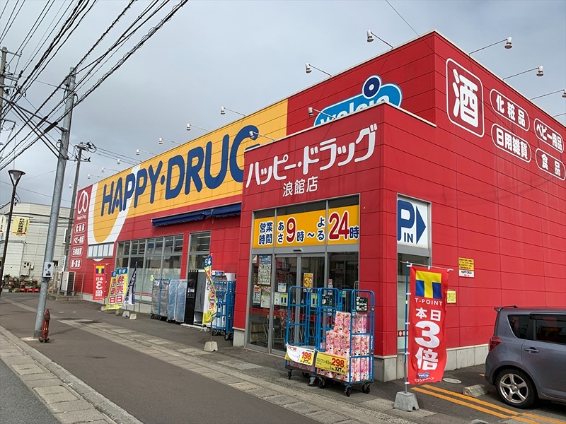 浪館前田高木貸家 ドラッグストア
