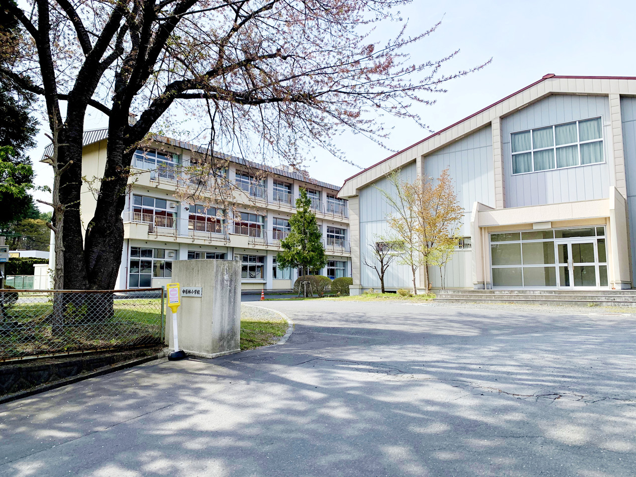 シャーメゾン道合Ⅲ 小学校