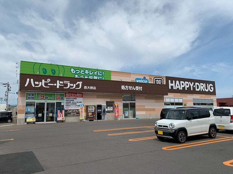 メゾン・ド大野　Ｂ ドラッグストア