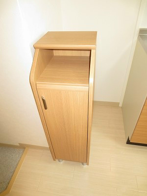 グレイシャス五日市 玄関