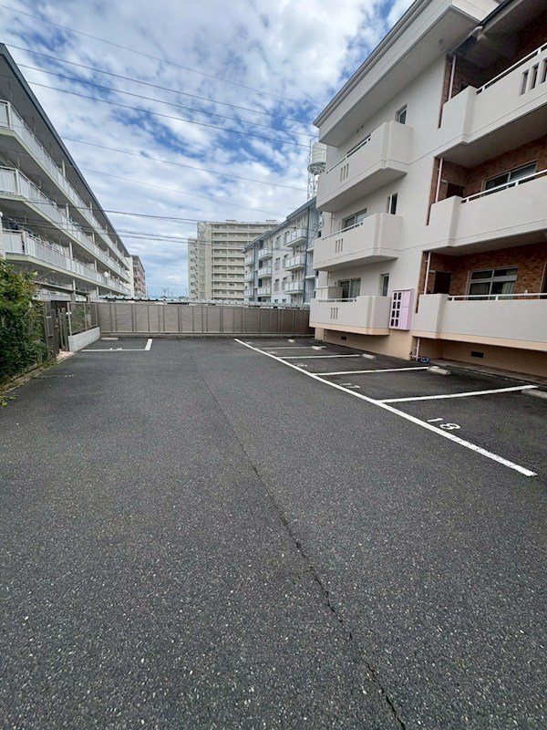 プリンス桜 その他