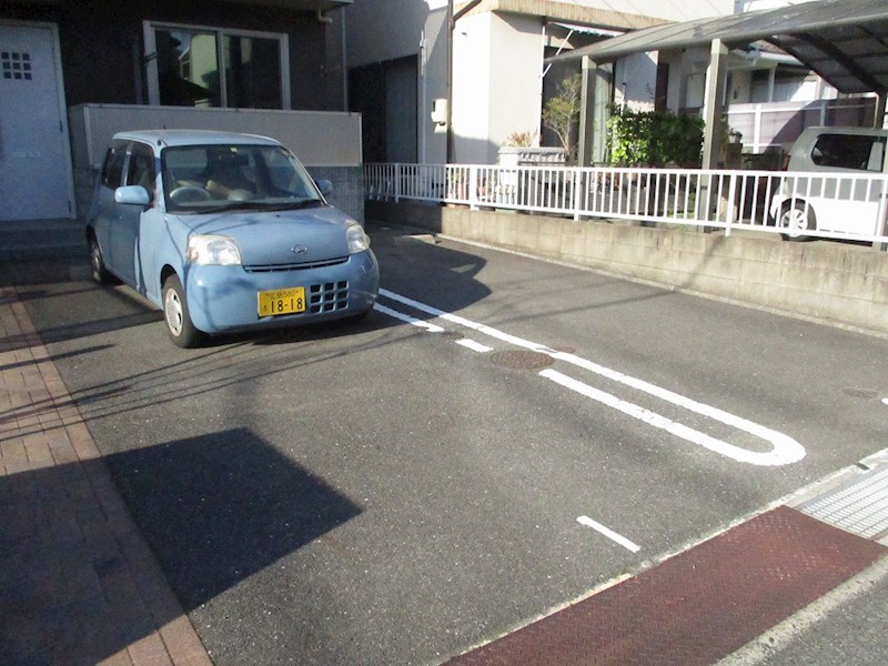 サンフラワー その他