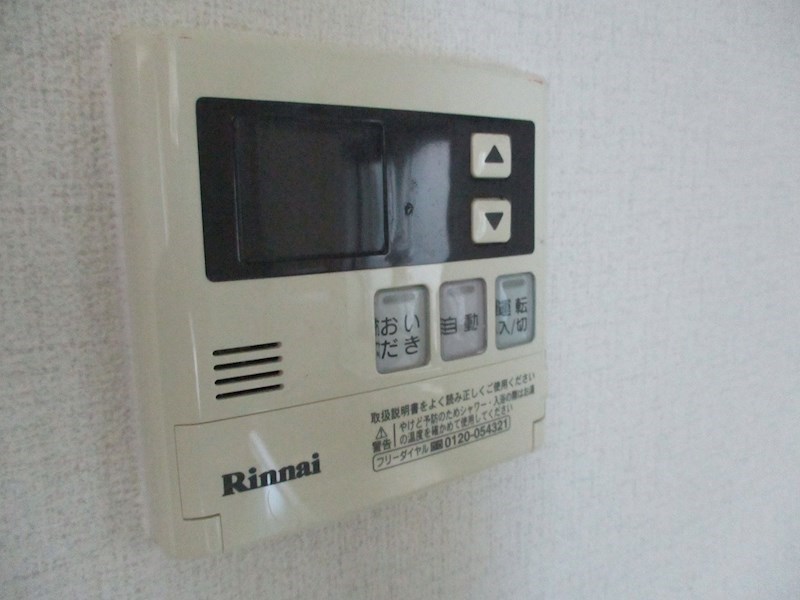 サンフラワー その他
